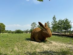 -嘉北郊野公园