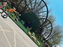 -呀路古热带植物园