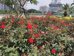 -文华公园(禅城区)
