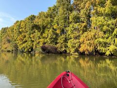 -上海海湾国家森林公园