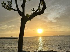 -麦哲伦丝绸度假村