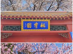 -桃花堤公园