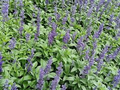 -东林广场(地铁站)