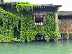 -乌镇西栅景区