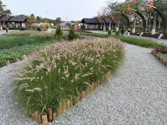 -映月湖公园