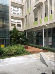 -深圳市宝安区妇幼保健院
