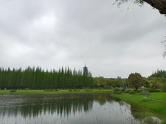 -宜兴龙背山森林公园