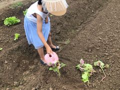 -前小桔亲子创意农场·草莓采摘·露营烧烤