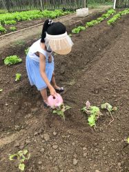 -前小桔亲子创意农场·草莓采摘·露营烧烤