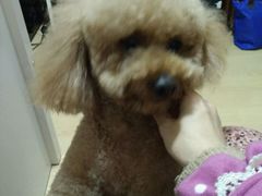 -暖阳宠物医院·犬猫康复中心·骨科