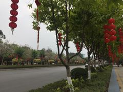 -增城图书馆(荔景大道辅路店)