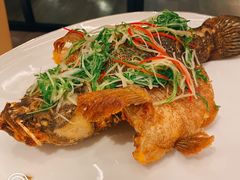 -伯衡55·吉品轩(乌鲁木齐南路店)