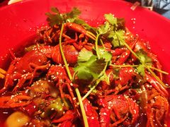 -红辣椒·川菜·火锅(张杨路店)