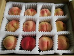 -南汇水蜜桃采摘(大团店)