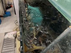 -干老四雅鱼饭店(滨江西路店)