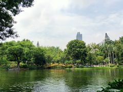 -晓港公园