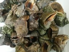 -烁佳海鲜大馅饺子