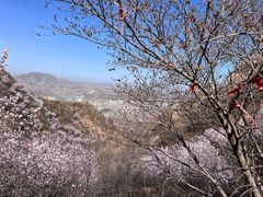 -鸡鸣山旅游风景区