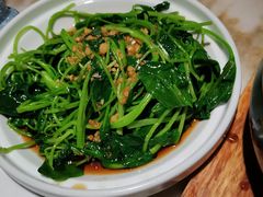 芥兰苗-佬肥猫(国华广场店)