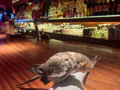 -鸡尾酒实验室酒吧(隆礼路店)