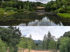 -云溪植物园