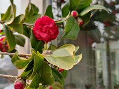 景观位-陶陶居酒家(第十甫路总店)