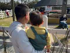 -前小桔亲子创意农场·草莓采摘·露营烧烤