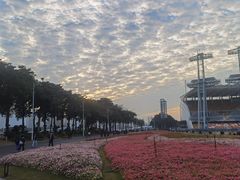 -海心沙亚运公园