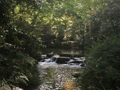 -中国茶叶博物馆(双峰馆区)