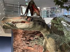 -湖南省地质博物馆