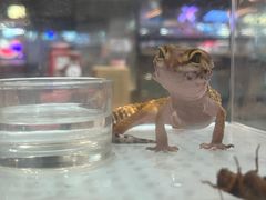 -万达广场(南京江宁店)