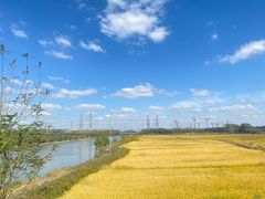 -上海佘山国家森林公园天马山园