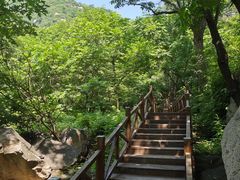 -大岭沟猕猴桃谷风景区
