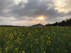 -光明小镇欢乐田园