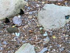 -紫云谷景区