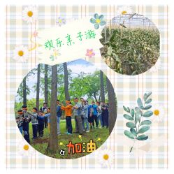 -麦粒鸟亲子游