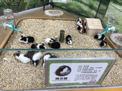 -小象动悟公园(龙湖亦庄天街店)