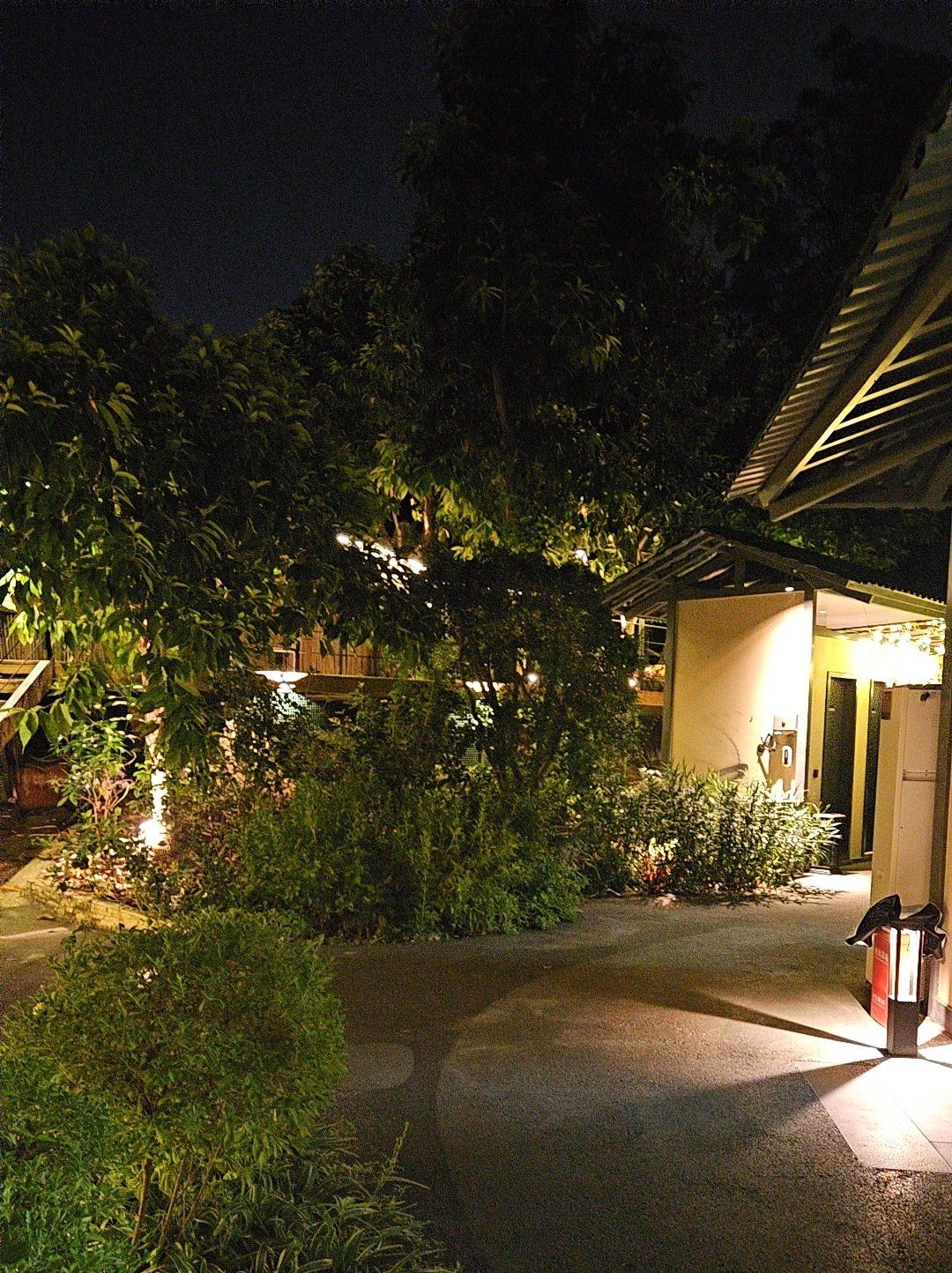 超人气火锅店晚上的小庭院很好看