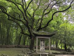 -兰亭风景区