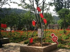 -绵阳盛世樱花悠乐谷