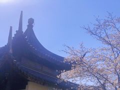 -苏州上方山国家森林公园