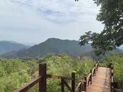 -大岭沟猕猴桃谷风景区