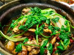 招牌家鸡煲-渝君重庆火锅(嘉宾路店)