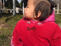 -青龙山国家森林公园