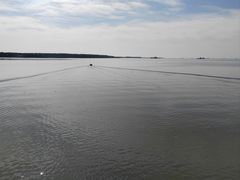 -滕州微山湖红荷湿地景区