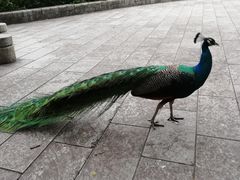 -柳州市动物园