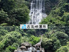 -上南瓦煲鸡·清远鸡·老字号(总店)