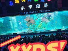 -泉城欧乐堡海洋极地世界