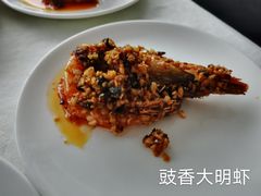 -云中小雅