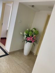 -久匠·纹眉半永久野生眉